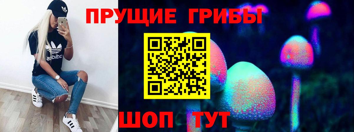Железноводск  Галлюциногенные грибы GOLDEN TEACHER  Вход с VPN 